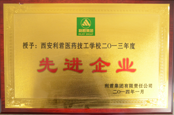 利君集团2013年先进企业(图1)