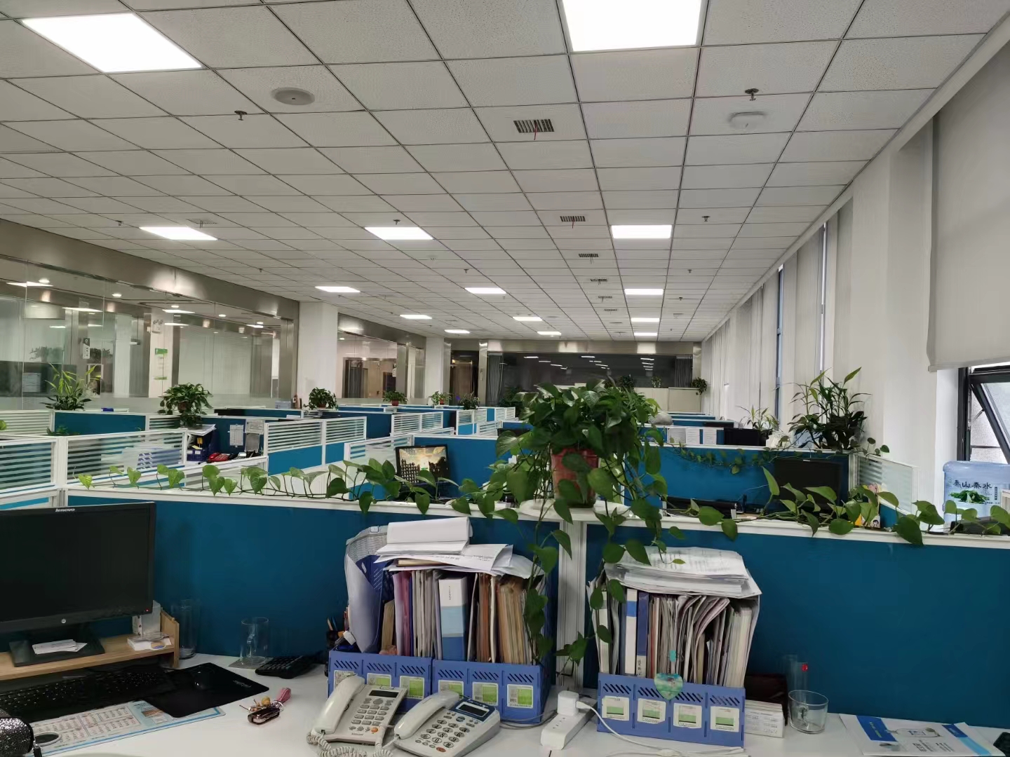 医药公司工作环境(图2)